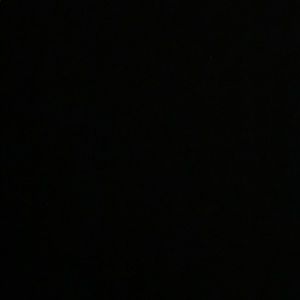 Meet your Posher, Riley